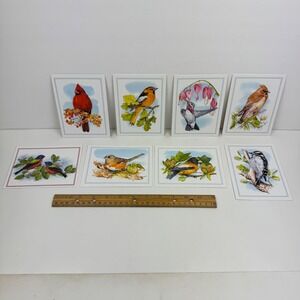 Vtg 8 Ron Schreiner Greeting Cards Animals Birds Flowers Watercolor Style READ